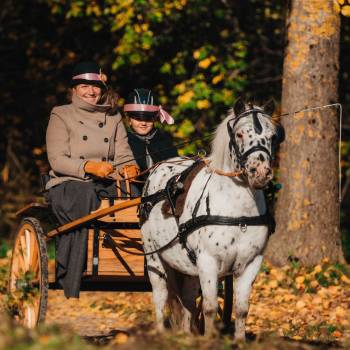 Taija-Tuulia Tammelin